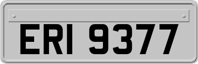 ERI9377