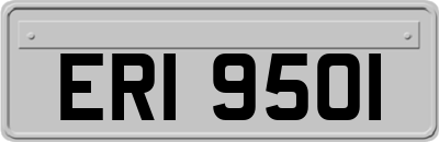 ERI9501