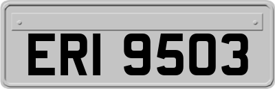 ERI9503