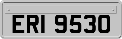 ERI9530