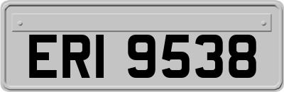 ERI9538