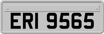 ERI9565