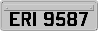 ERI9587
