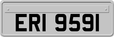 ERI9591