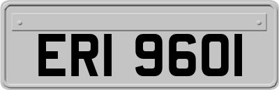 ERI9601