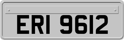 ERI9612