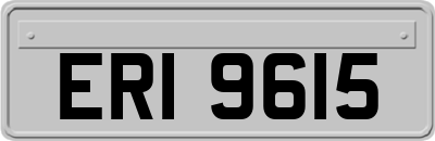 ERI9615