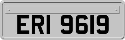 ERI9619