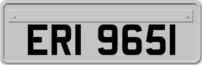 ERI9651