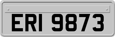 ERI9873