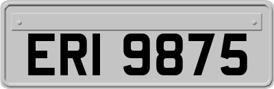 ERI9875
