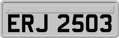 ERJ2503