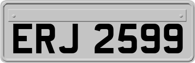 ERJ2599