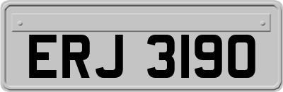 ERJ3190