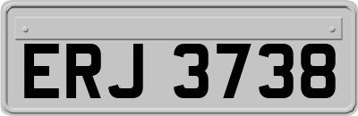 ERJ3738