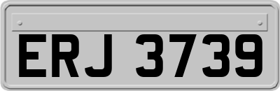 ERJ3739