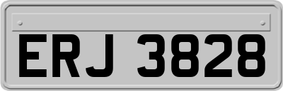 ERJ3828