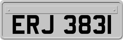 ERJ3831