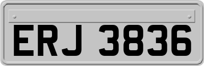 ERJ3836