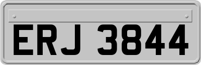 ERJ3844
