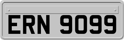 ERN9099
