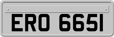 ERO6651