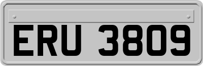 ERU3809