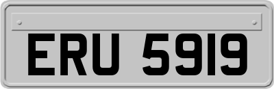 ERU5919