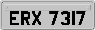 ERX7317