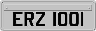 ERZ1001