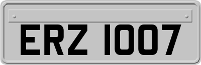 ERZ1007