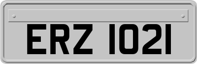 ERZ1021