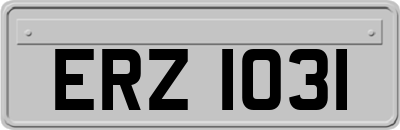 ERZ1031