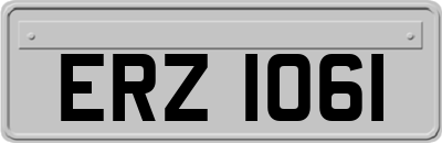 ERZ1061
