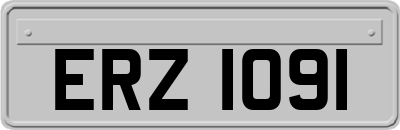 ERZ1091