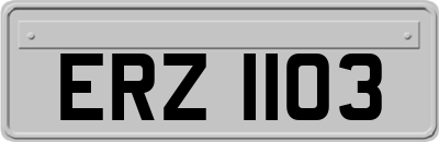 ERZ1103