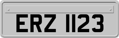 ERZ1123