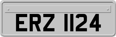 ERZ1124