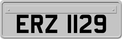 ERZ1129