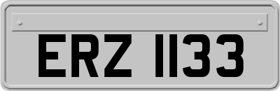 ERZ1133