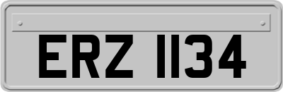 ERZ1134