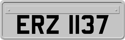 ERZ1137