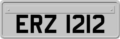ERZ1212