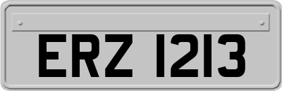 ERZ1213