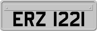 ERZ1221
