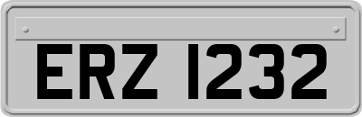 ERZ1232