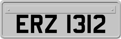 ERZ1312