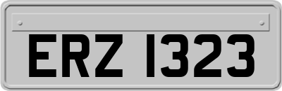 ERZ1323