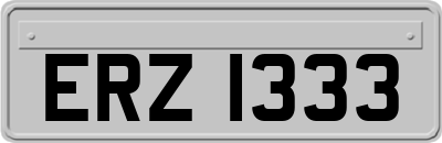 ERZ1333