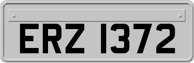 ERZ1372